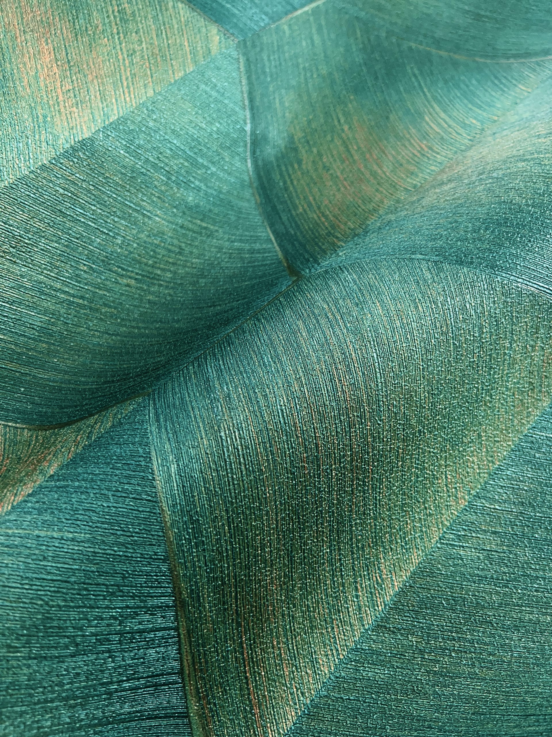 Talon Green